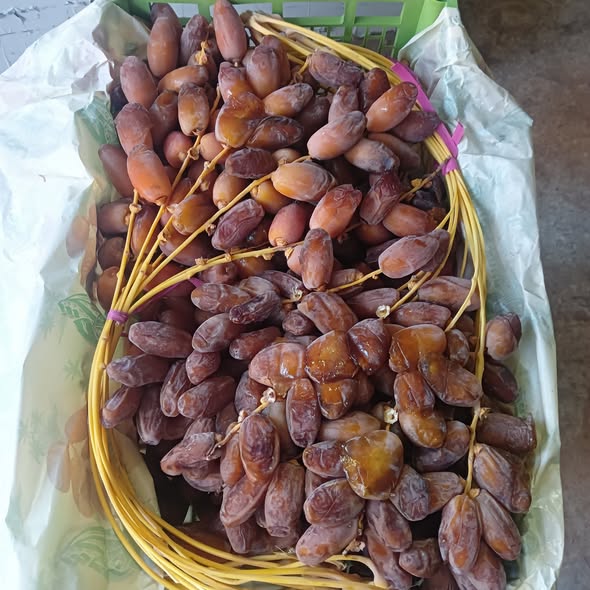 أجود أنواع التمور (البيع ب 6 كغ فقط)